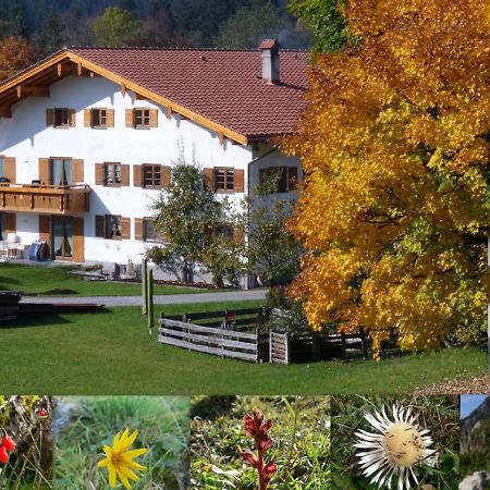 Ferienwohnungen Hennenmuehle Bad Hindelang Zewnętrze zdjęcie